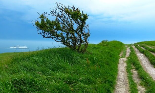 Warum auch du in der grässlichsten Stadt Englands Urlaub machen solltest – lohnt sich Dover?