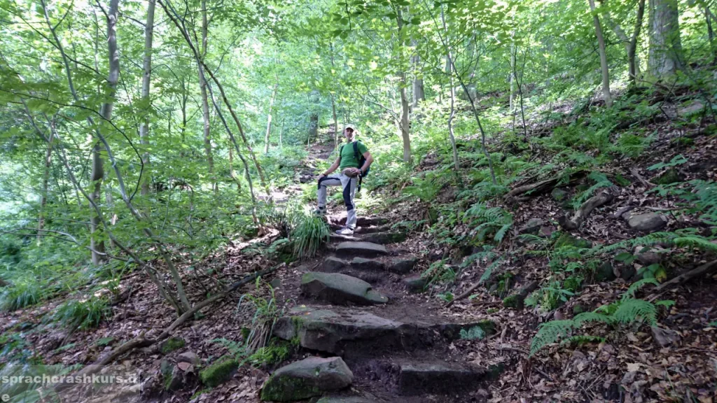 hinauf zum Königstuhl in Heidelberg